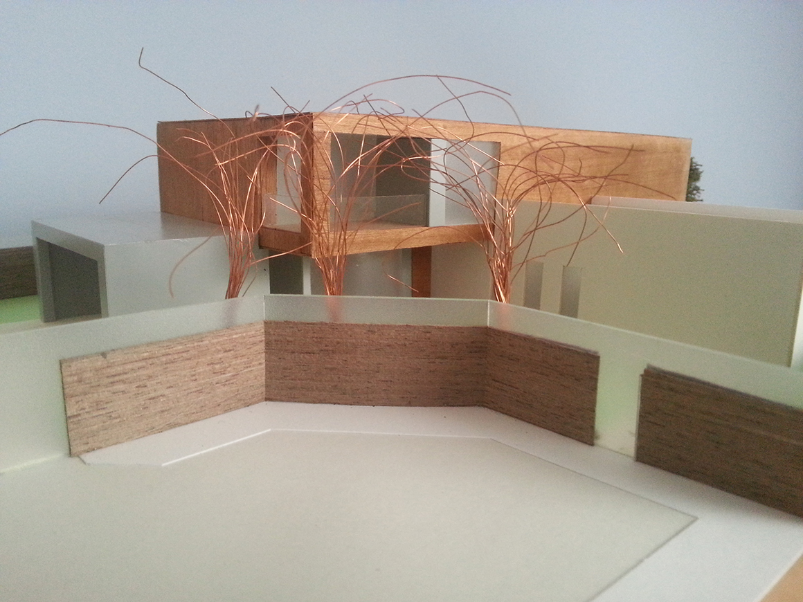 VILLANUEVA DE LA CAÑADA 07